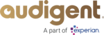 Audigent