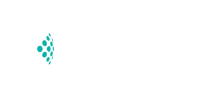 Eyeota - Dun & Bradstreet Logo_Eyeota_Light-1